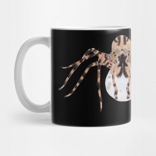 Spider Guarding Egg Sack Mug